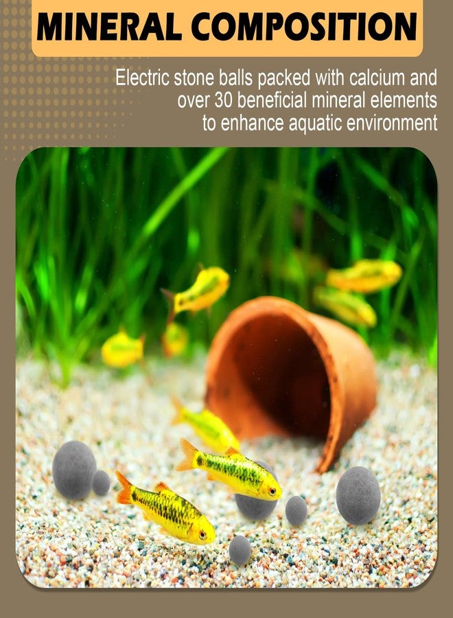 Verplexter Shrimp Tourmaline (10 Packs of Regular Tourmaline) Contains Calcium and Over 30 Elements, which can Improve Health, Color, Shedding, Reproduction, and Survival Rates - Image 4
